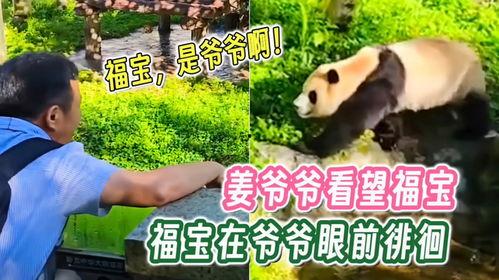 爆料爷爷的视频福宝,揭秘爷爷视频中的神秘传说  第2张